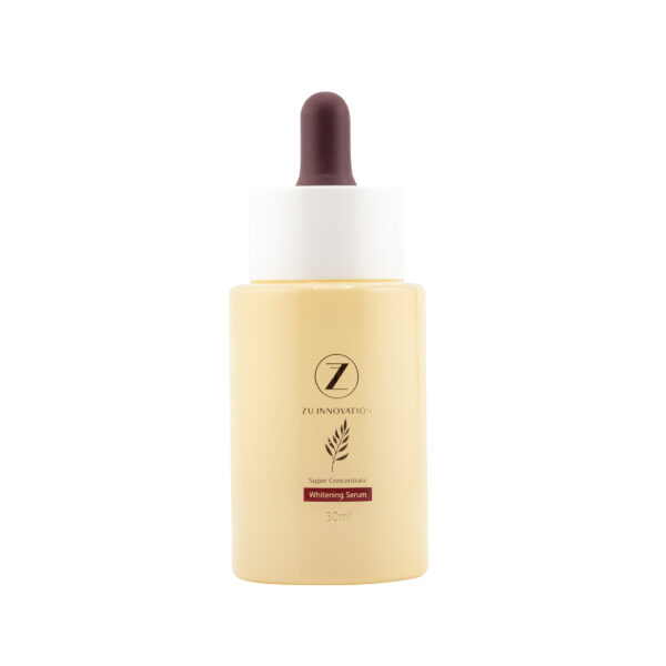 ZU-DP005