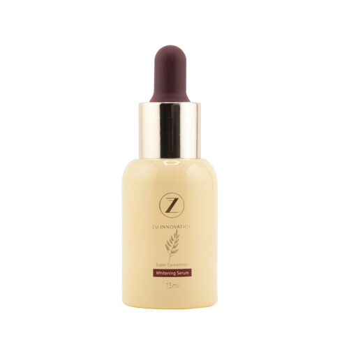 ZU-DP004